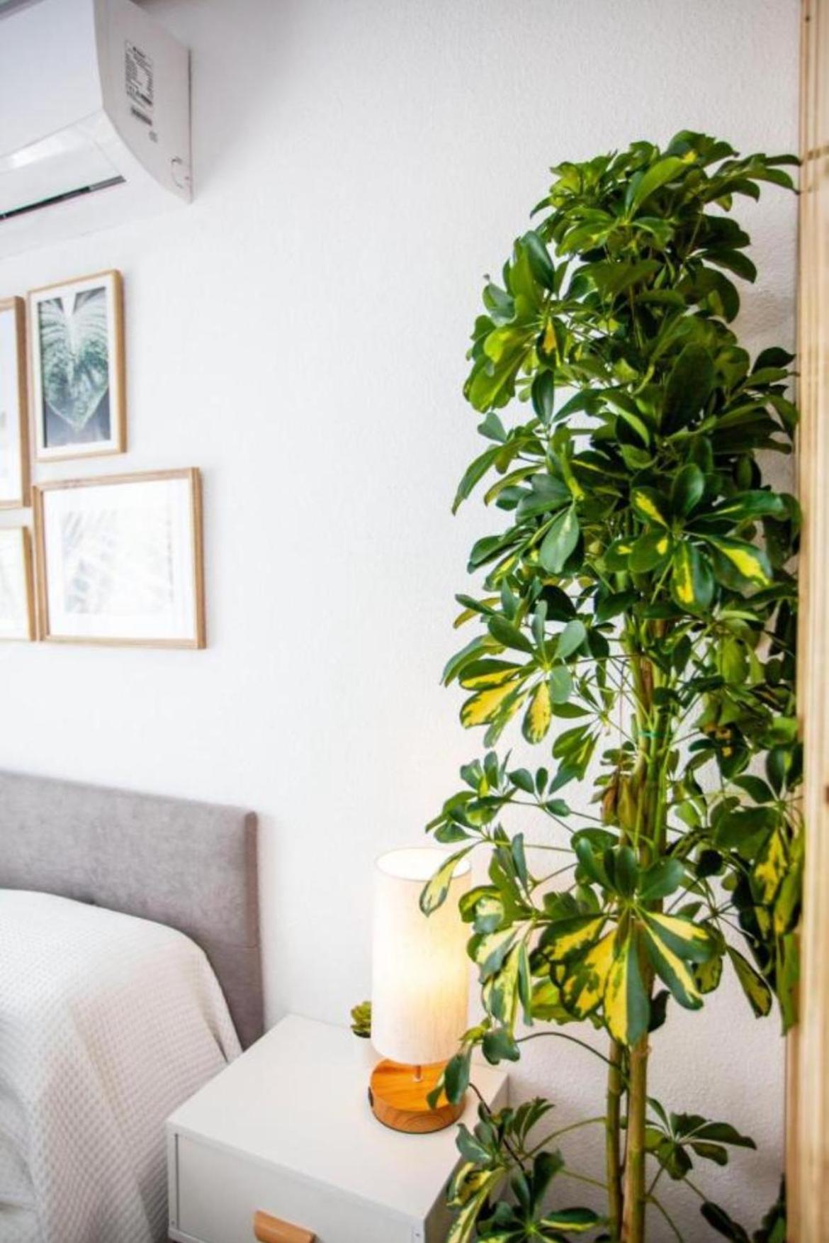Ole Studio Apartment Rojales Buitenkant foto